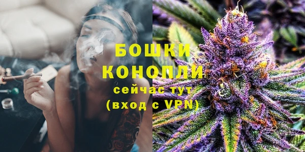 PSILOCYBIN Абаза
