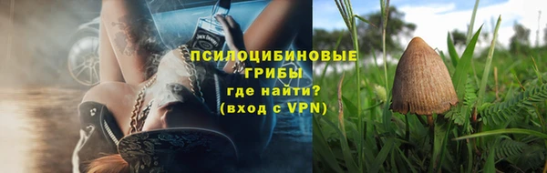 PSILOCYBIN Абаза