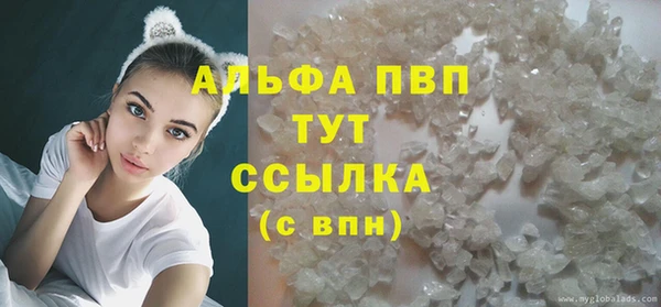 PSILOCYBIN Абаза